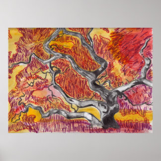 Japansk aple Träd Teckning Poster