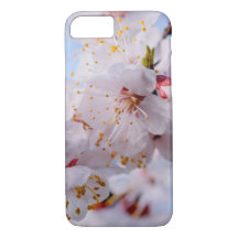 Japansk Apricot-Blommar