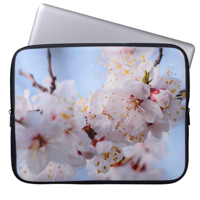 Japansk Apricot-Blommar Laptop Fodral (Framsidan)