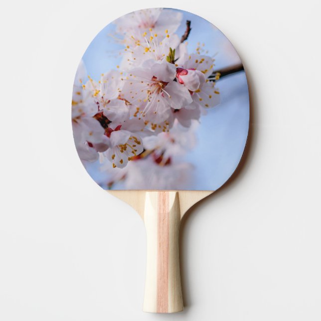 Japansk Apricot-Blommar Pingisracket (Baksidan)