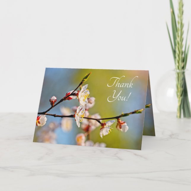 Japansk aprikosblomma tack kort (Framsida)