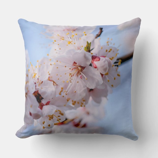 Japansk Aprikosblomning Kudde (Framsida)