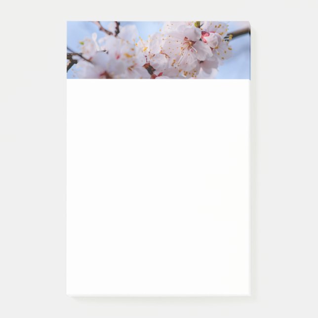 Japansk aprikosblomning post-it block (Framsida)