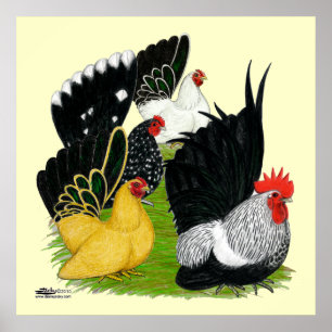 Japansk bantam-kvartetten poster