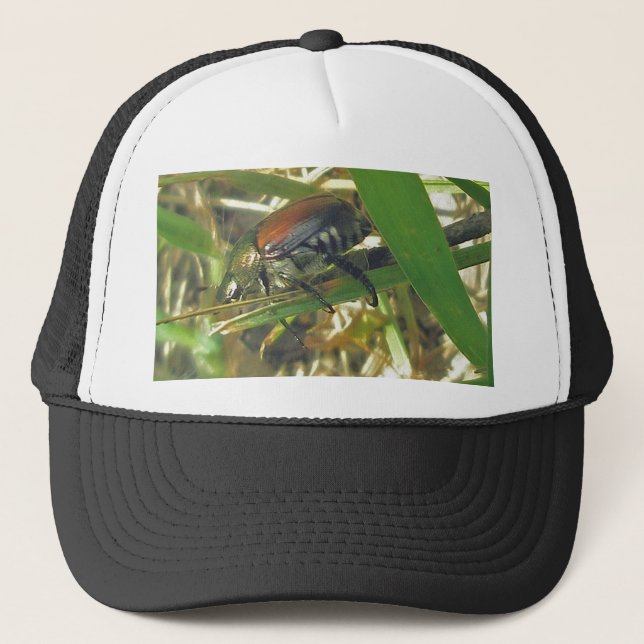 Japansk Beetle Hat Keps (Framsida)