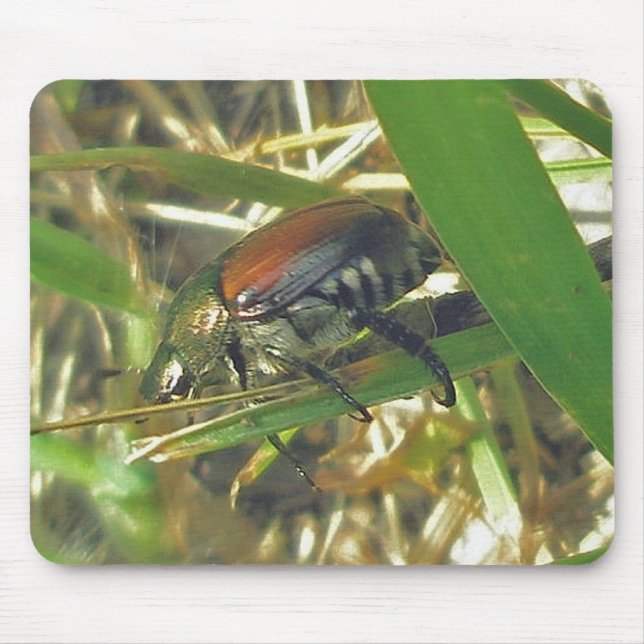 Japansk Beetle Mousepad Musmatta (Framsidan)