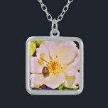 Japansk Beetle på Vit ros Silverpläterat Halsband<br><div class="desc">Ett vackert foto av en japansk Beetle på White Gul ros av Artist Sandra Marie Closs. Lägg till egen text, namn eller monogram för att skapa perfekten för alla tillfälle. Bröllop, brudens sida trädgård party, sympati, födelsedagskalender, babydusch, firande eller bara för att göra din dag lite mer vacker. blommigt, blommor,...</div>