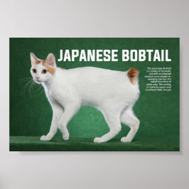 Japansk Bobtail Cat Breed Poster