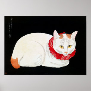 Japansk Bobtail Cat, Shotei Poster