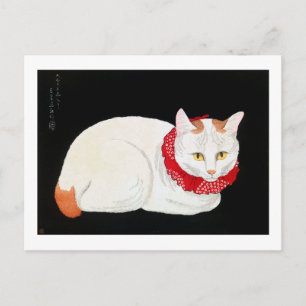 Japansk Bobtail Cat, Shotei Vykort