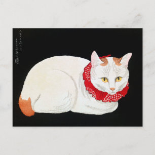 Japansk Bobtail Cat, Shotei Vykort