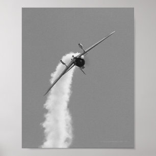 Japansk bombplan för marinAichi D3A dyk Poster