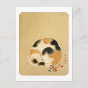 Japansk Calicokatt, Hanabusa Itchō Vykort