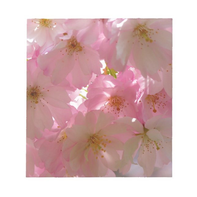 Japansk Cherry-Blommar Anteckningsblock (Framsida)