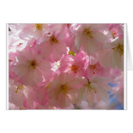 Japansk Cherry-Blommar Hälsningskort