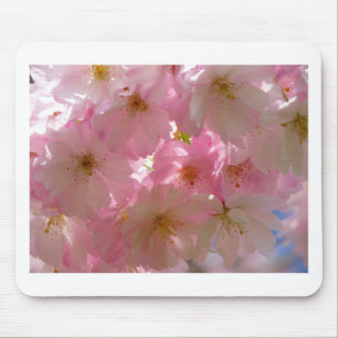 Japansk Cherry-Blommar Musmatta