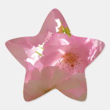 Japansk Cherry-Blommar