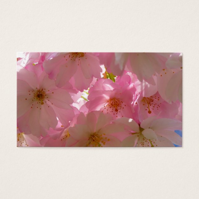 Japansk Cherry-Blommar Visitkort (Framsidan)