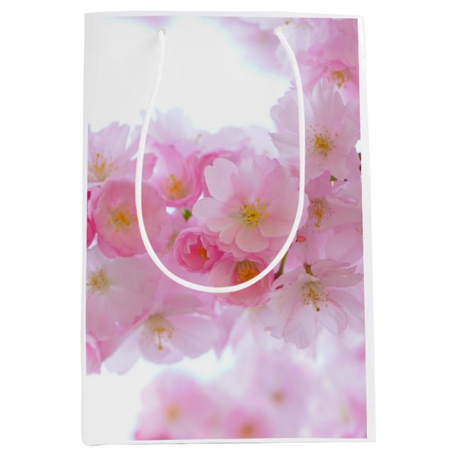 Japansk Cherry Träd Blommar (Framsidan)