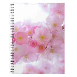 Japansk Cherry Träd Blommar Anteckningsbok