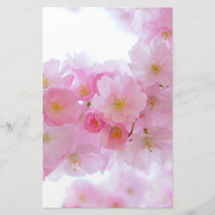 Japansk Cherry Träd Blommar Brevpapper