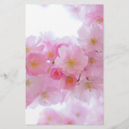 Japansk Cherry Träd Blommar Brevpapper