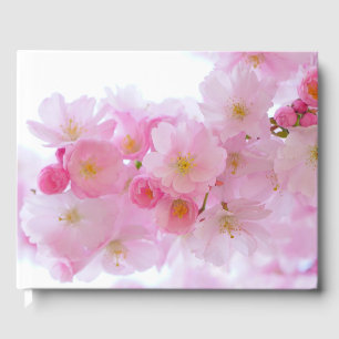 Japansk Cherry Träd Blommar Gästböcker