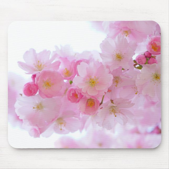 Japansk Cherry Träd Blommar Musmatta (Framsidan)