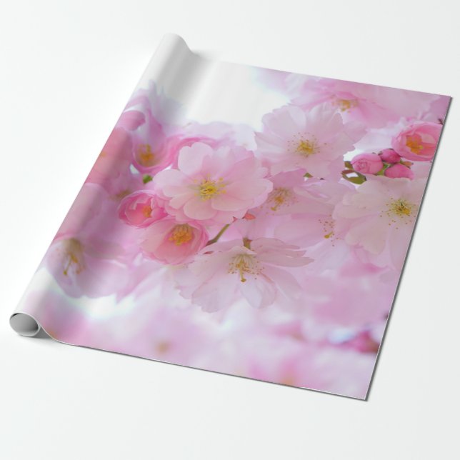 Japansk Cherry Träd Blommar Presentpapper (Utrullad)