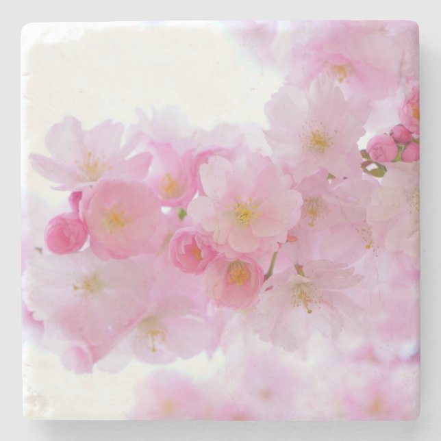 Japansk Cherry Träd Blommar Stenunderlägg (Framsidan)
