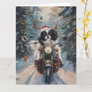 Japansk Chin Hund Kör Motorcykel Jul Kort