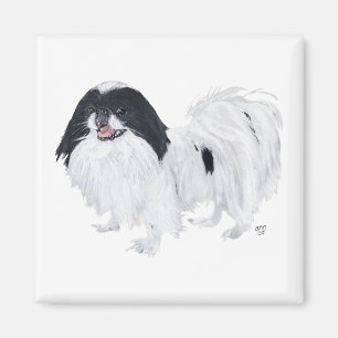Japansk Chin Hund Magnet