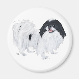 Japansk Chin Hund Magnet