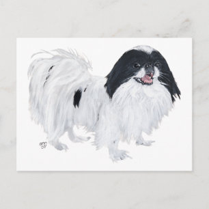 Japansk Chin Hund Vykort