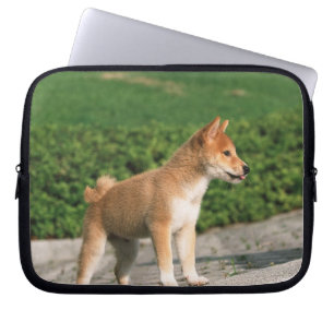 Japansk dvärgliknande person Shiba 2 Laptop Fodral