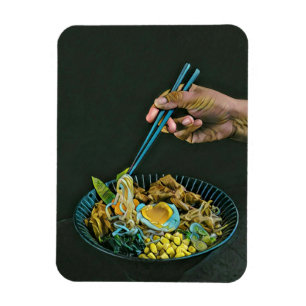 Japansk Food Älskare Magnet