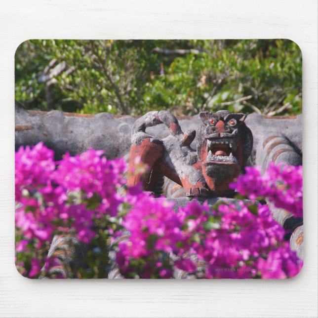 Japansk gargoyle musmatta (Framsidan)
