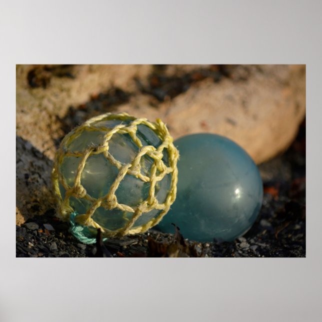 Japansk glasfiskefloat poster (Framsidan)