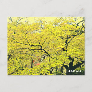 Japansk gult gingko träd reseutskrift vykort