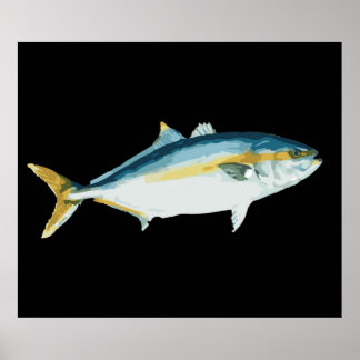 Japansk Hamachi Yellowtail Amberjack Poster