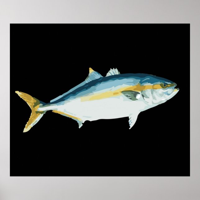 Japansk Hamachi Yellowtail Amberjack Poster (Framsidan)