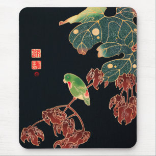 Japansk illustration av Paroquet Colorful Bird Musmatta