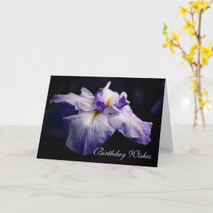Japansk Iris Flower Beauty Birthday  Kort