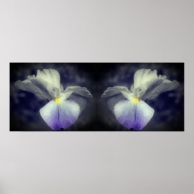Japansk Iris Flower Partial Färg Spegel Abstrakt Poster (Framsidan)