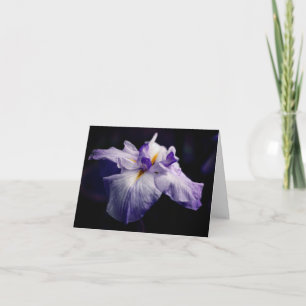 Japansk Iris Skönhetsblomma Fotografering Notering Kort