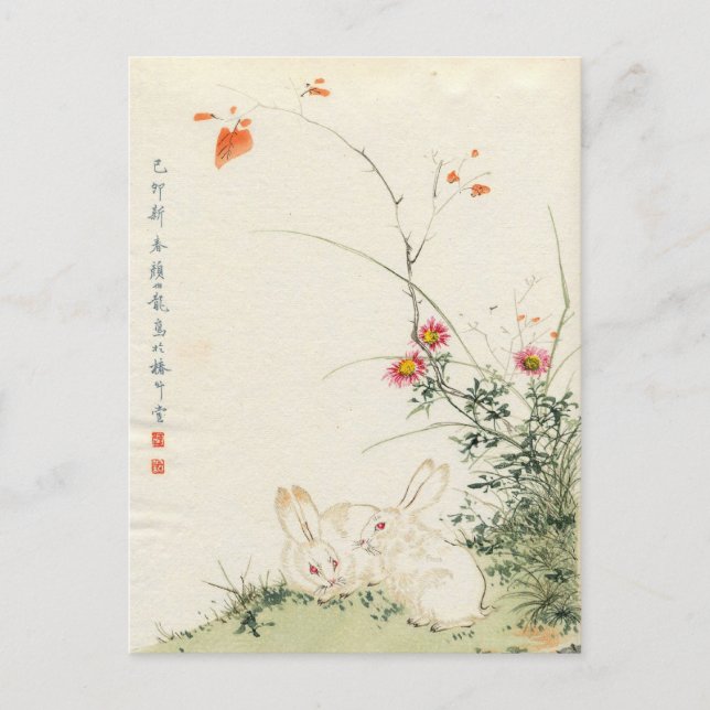 Japansk kanin vykort (Framsida)