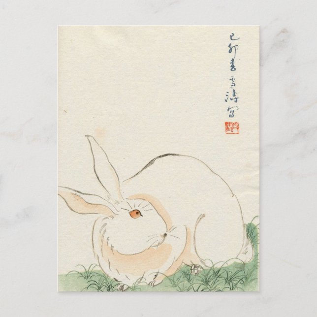 Japansk kanin vykort (Framsida)