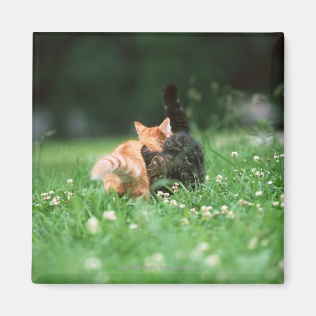 Japansk katt 4 magnet (Framsidan)