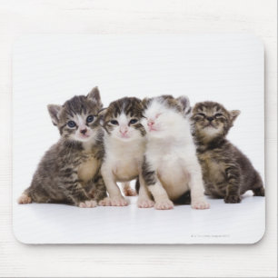 Japansk katt musmatta