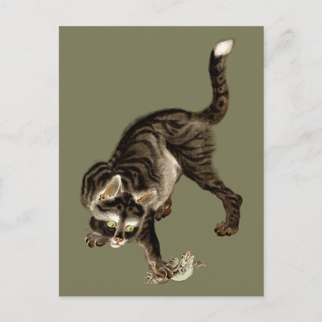 Japansk katt som fångar en groda vykort (Framsida)